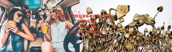 прущая мука Чердынь