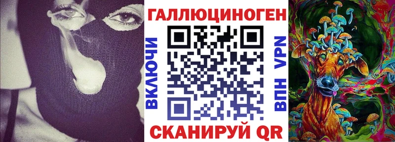 Купить Чишмы Псилоцибиновые грибы мицелий